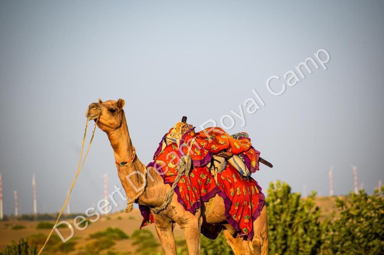 Hotel Desert Dream Royal Camp Jaisalmer Exterior foto